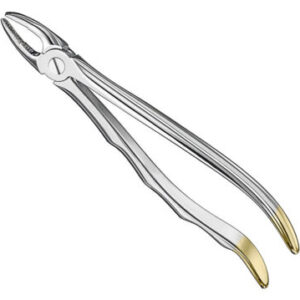 Extracting forceps, anat