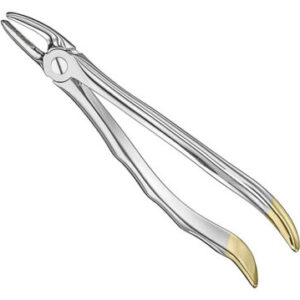 Extractinf forceps .anat