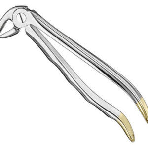 Extracting forceps . anat