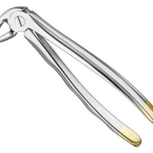 Extracting forceps . anat