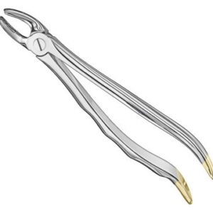 Extracting forceps . anat