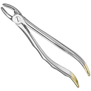 Extracting forceps . anat