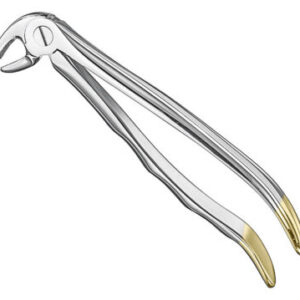 Extracting forceps . anat