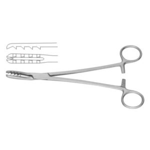 Bircher-Ganske catrilage seizing forcep